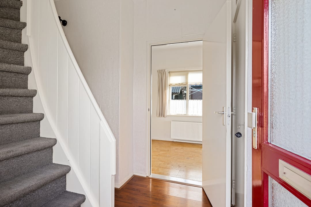 Foto 11 van Frijstêd 11