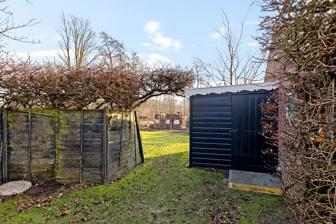 Foto 32 van Frijstêd 11