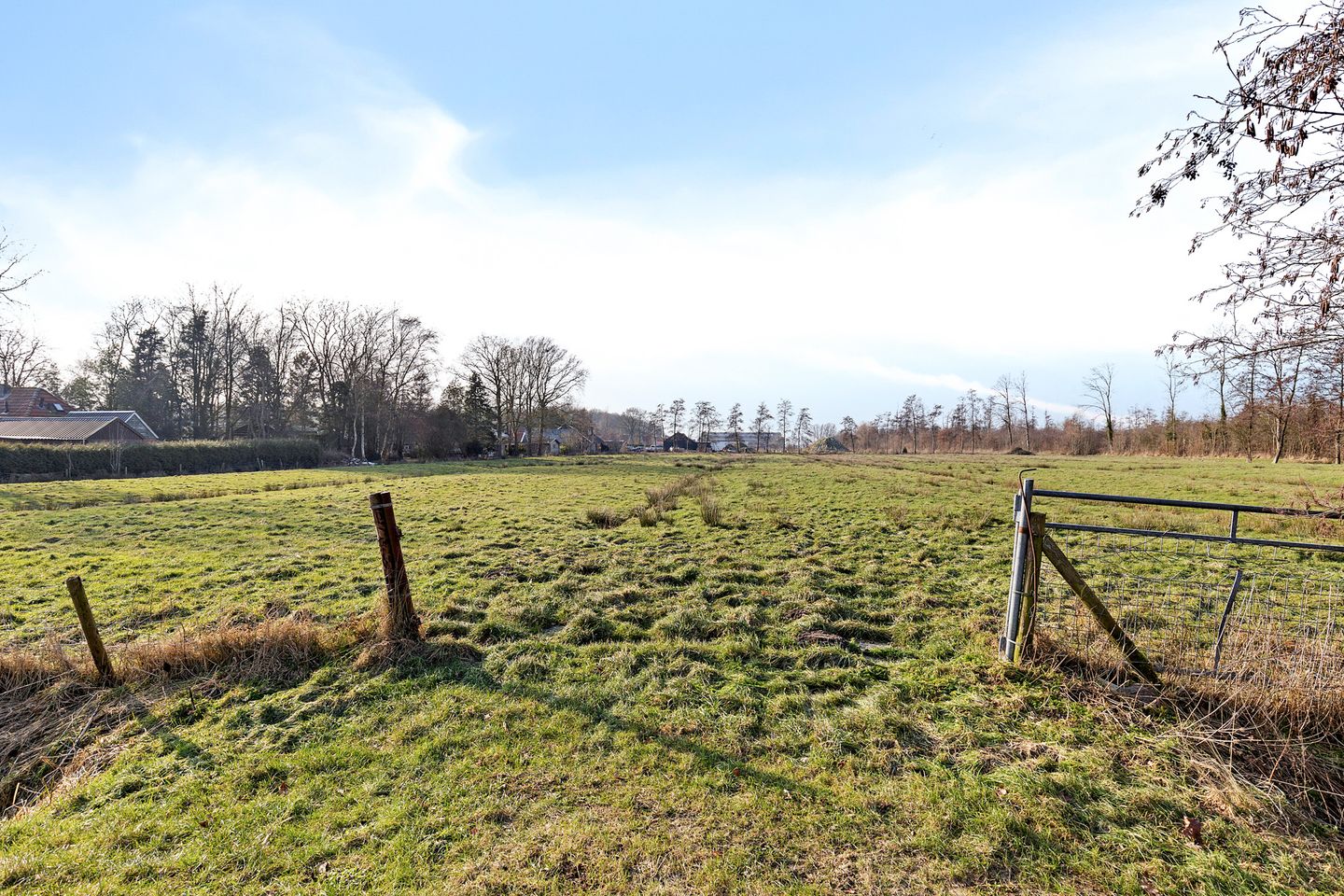 Foto 35 van Frijstêd 11