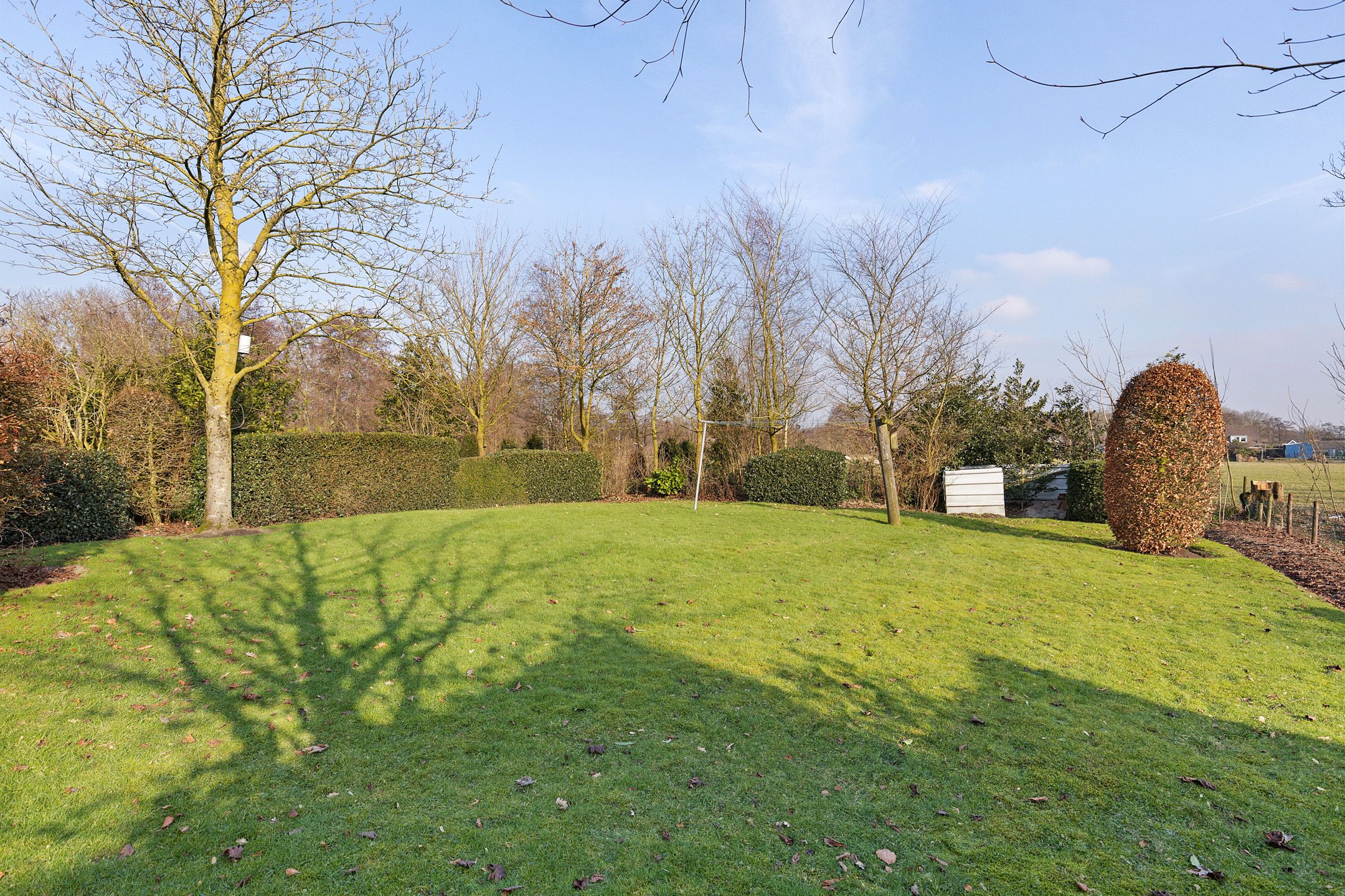 Foto 36 van Frijstêd 11