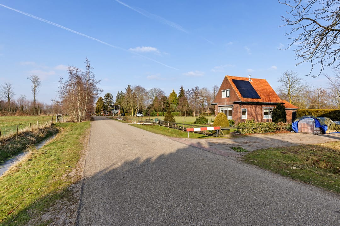 Foto 41 van Frijstêd 11