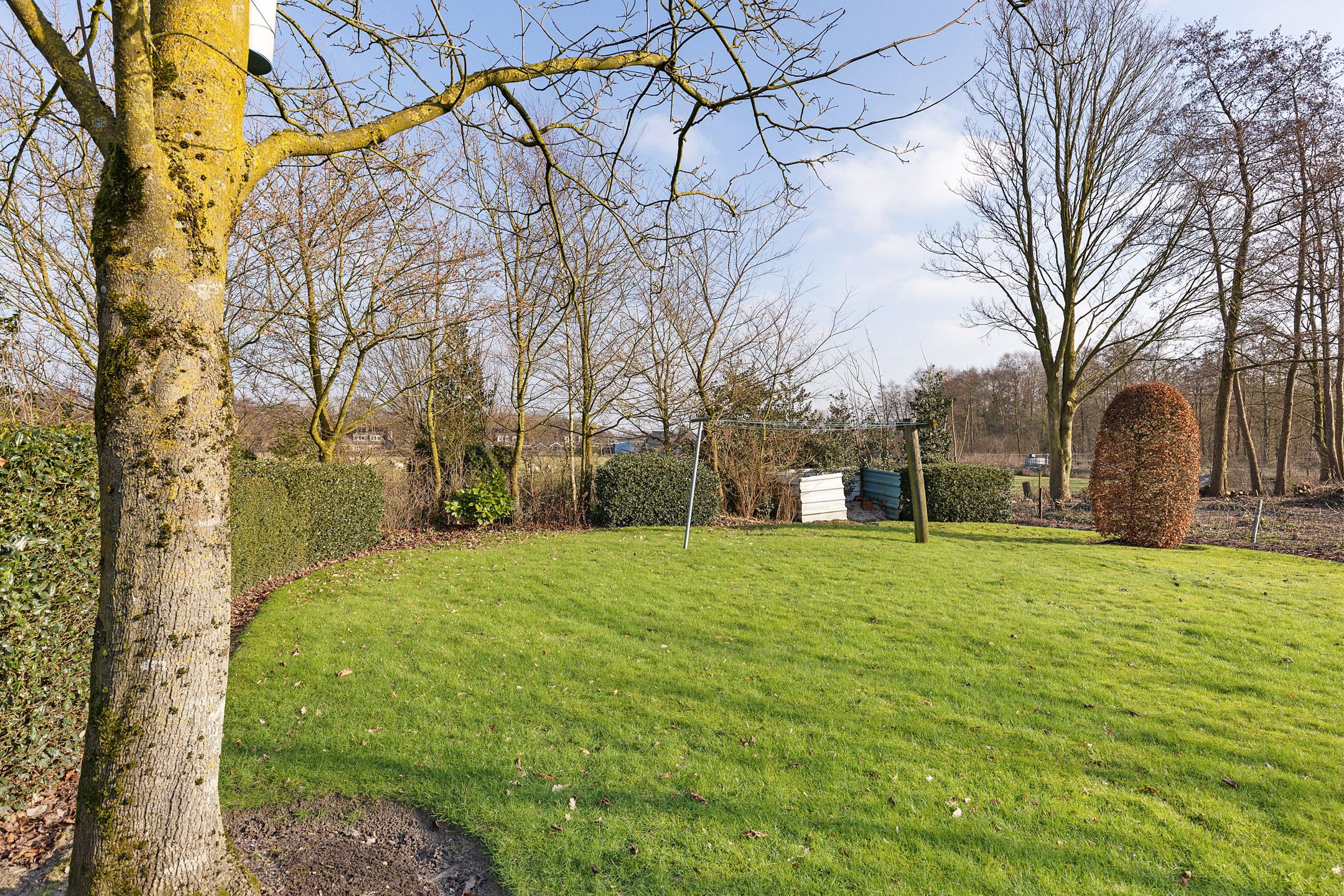 Foto 42 van Frijstêd 11