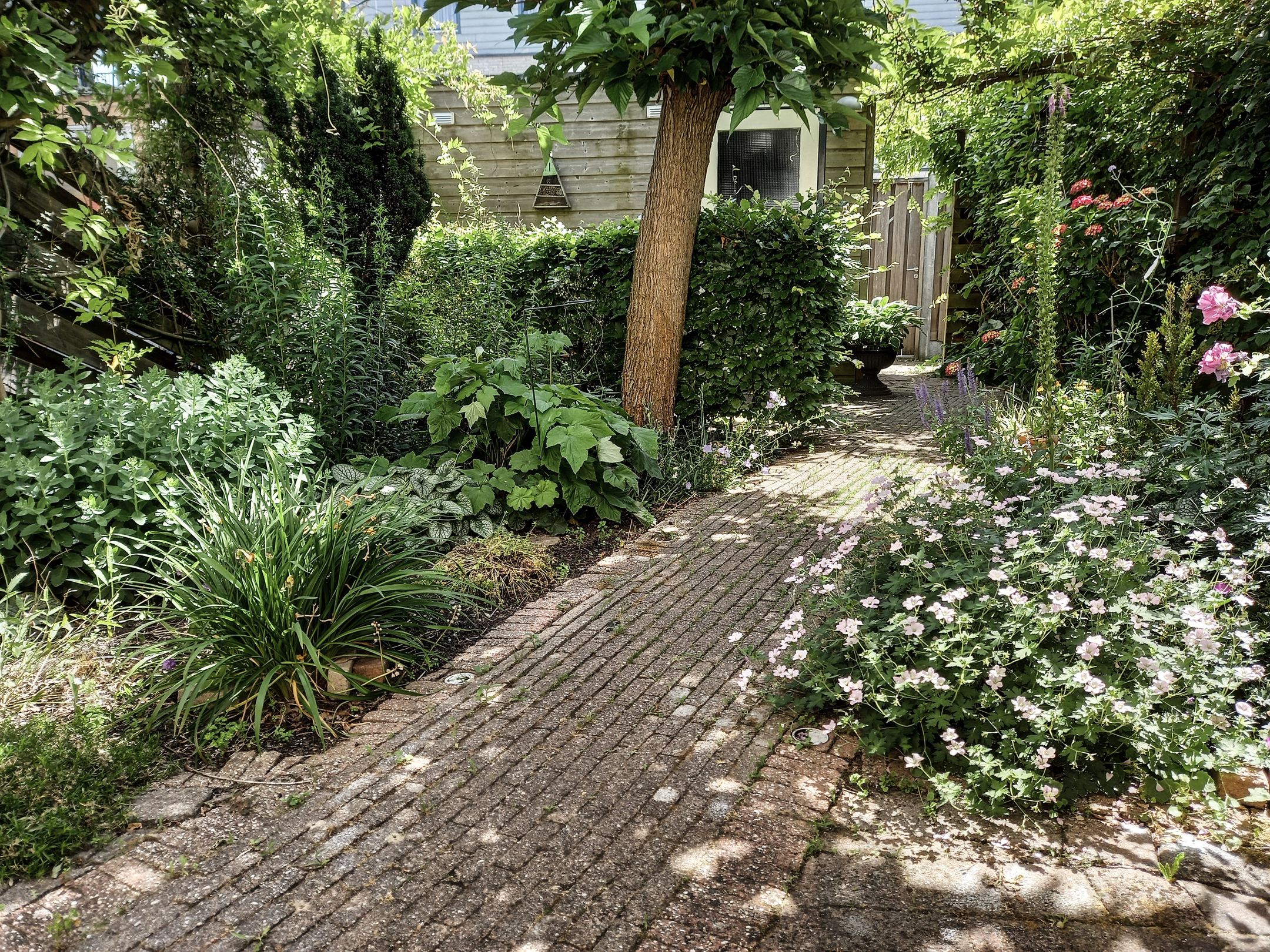 Foto 36 van Zuidertoren 35