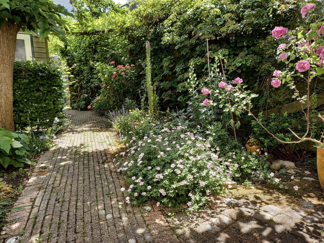 Foto 37 van Zuidertoren 35