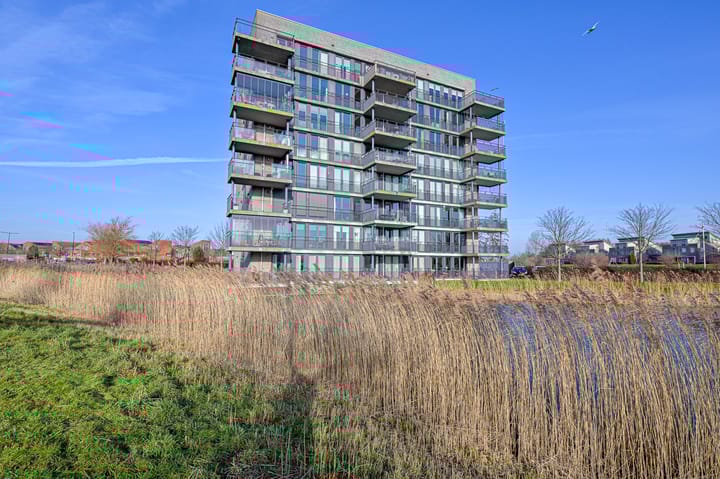 Foto 1 van Razende Bol 15