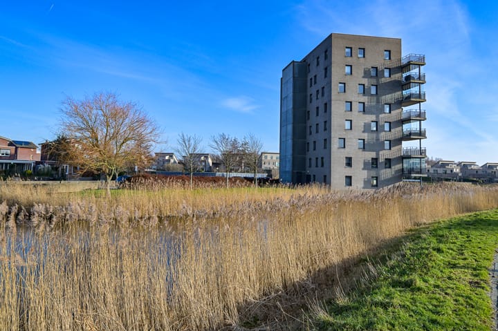 Foto 35 van Razende Bol 15