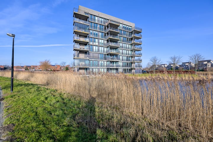 Foto 36 van Razende Bol 15