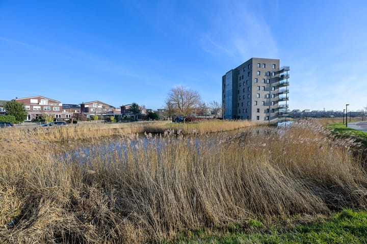 Foto 37 van Razende Bol 15