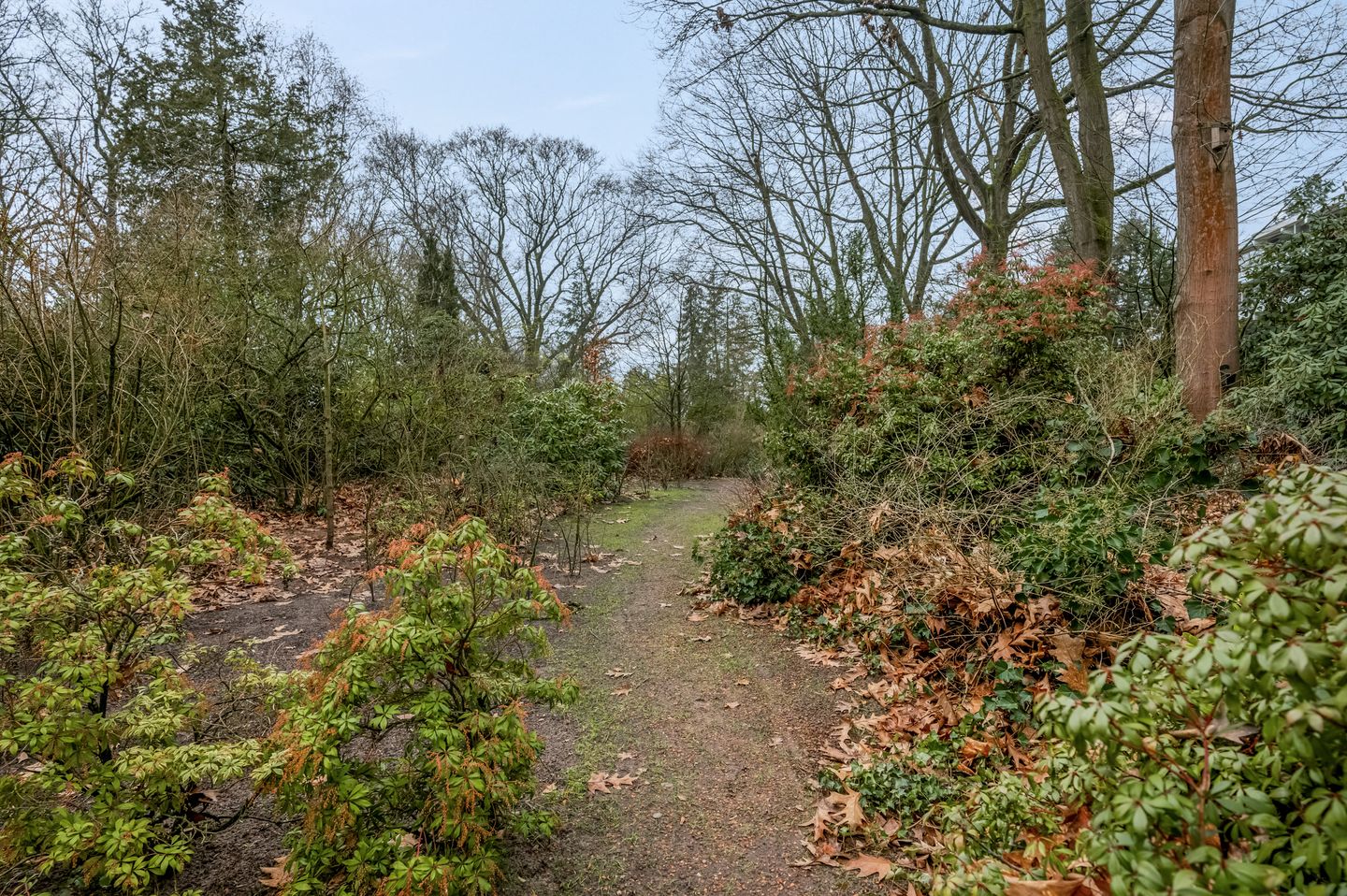 Foto 35 van Dennenlaan 416