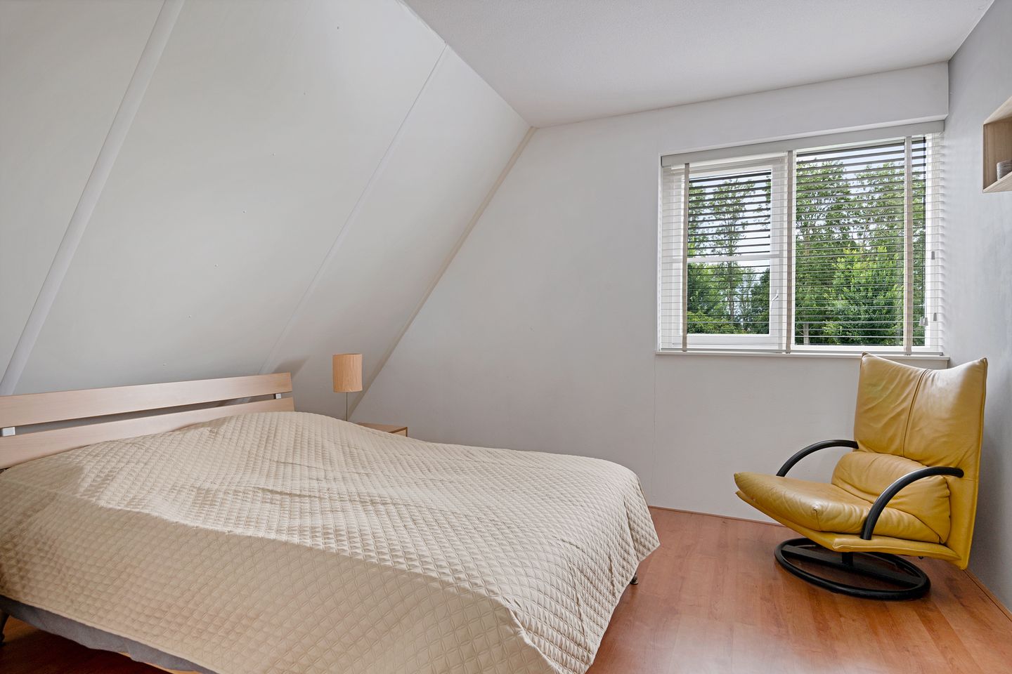 Photo 19 of Spectrum 21