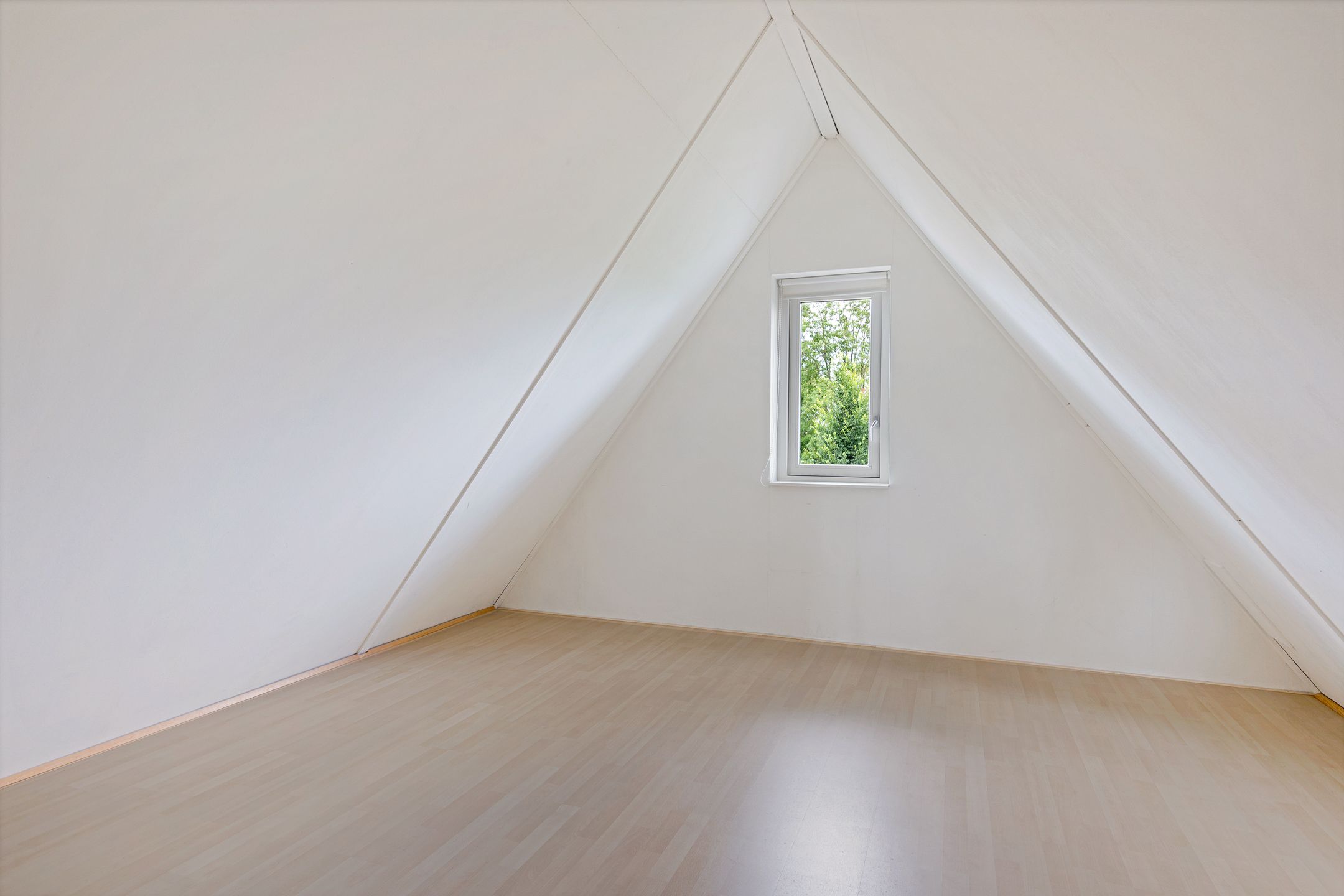 Photo 24 of Spectrum 21