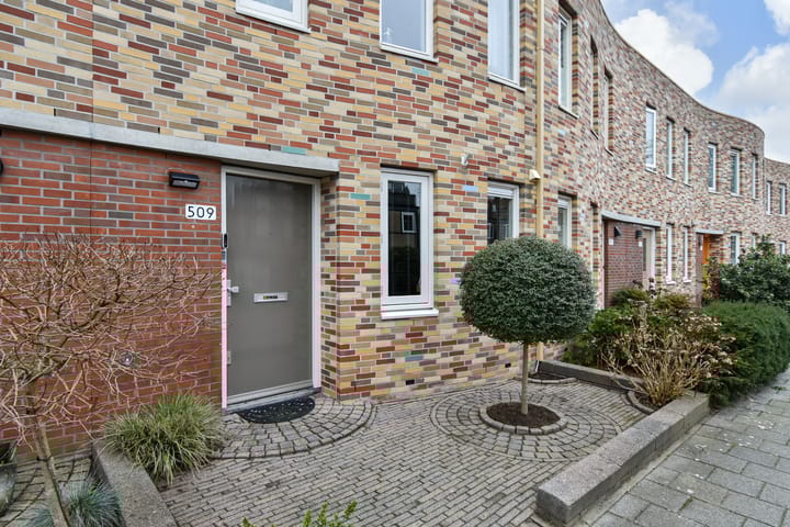 Foto 2 van Strijplaan 509