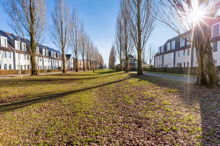 Photo 43 of Agaatvlindersingel 10