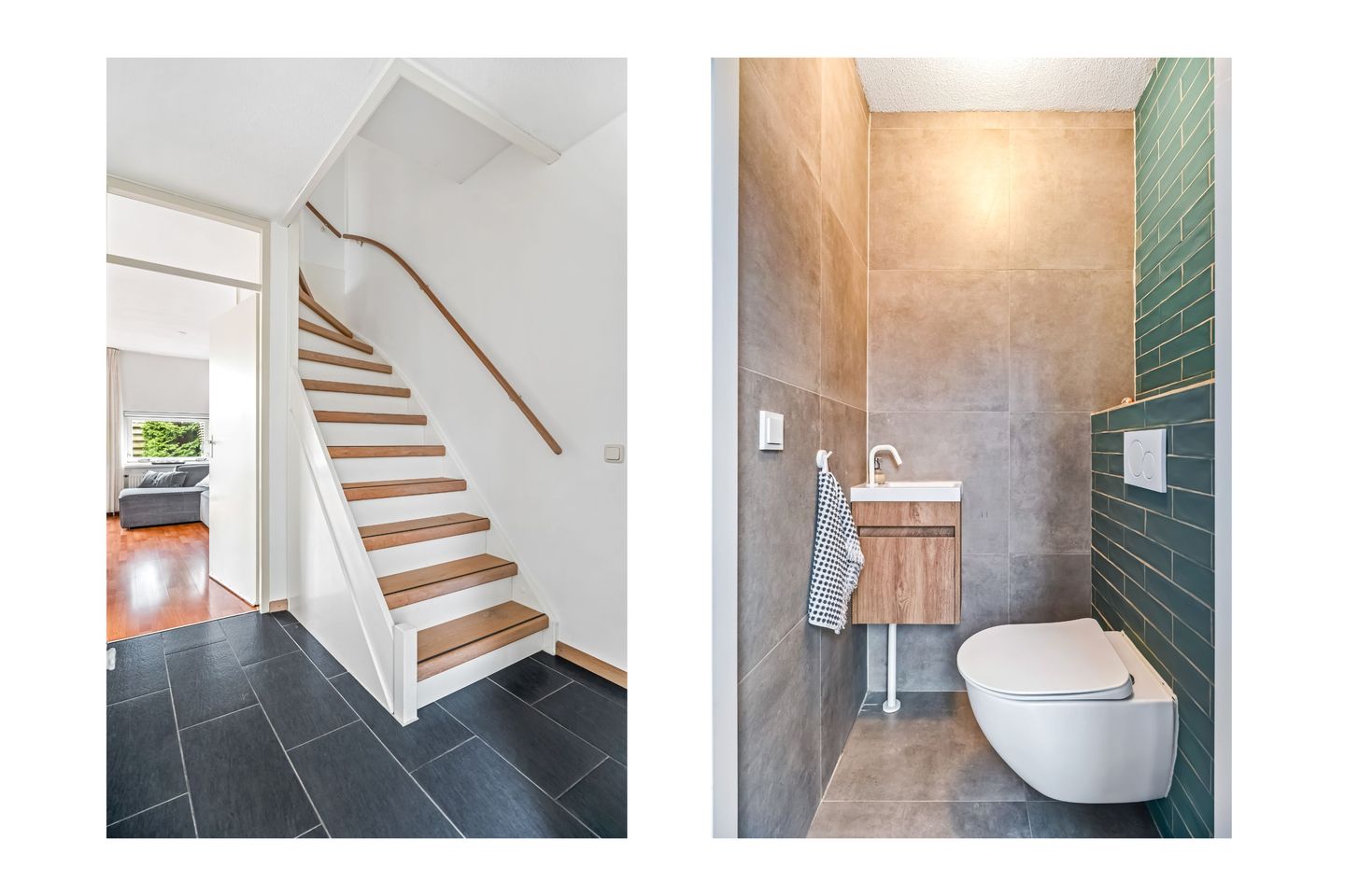 Photo 5 of Cantharel 1