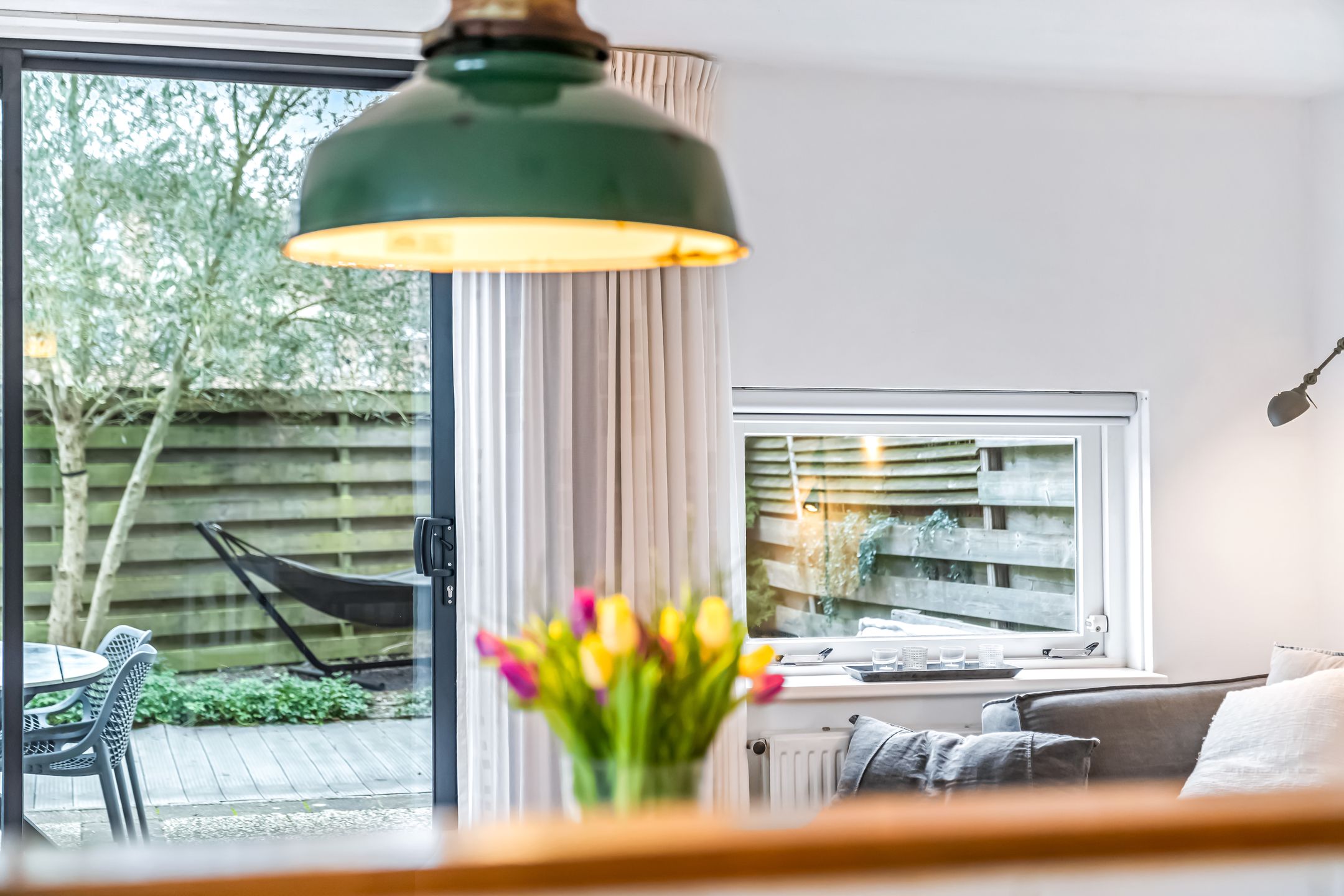 Photo 9 of Cantharel 1