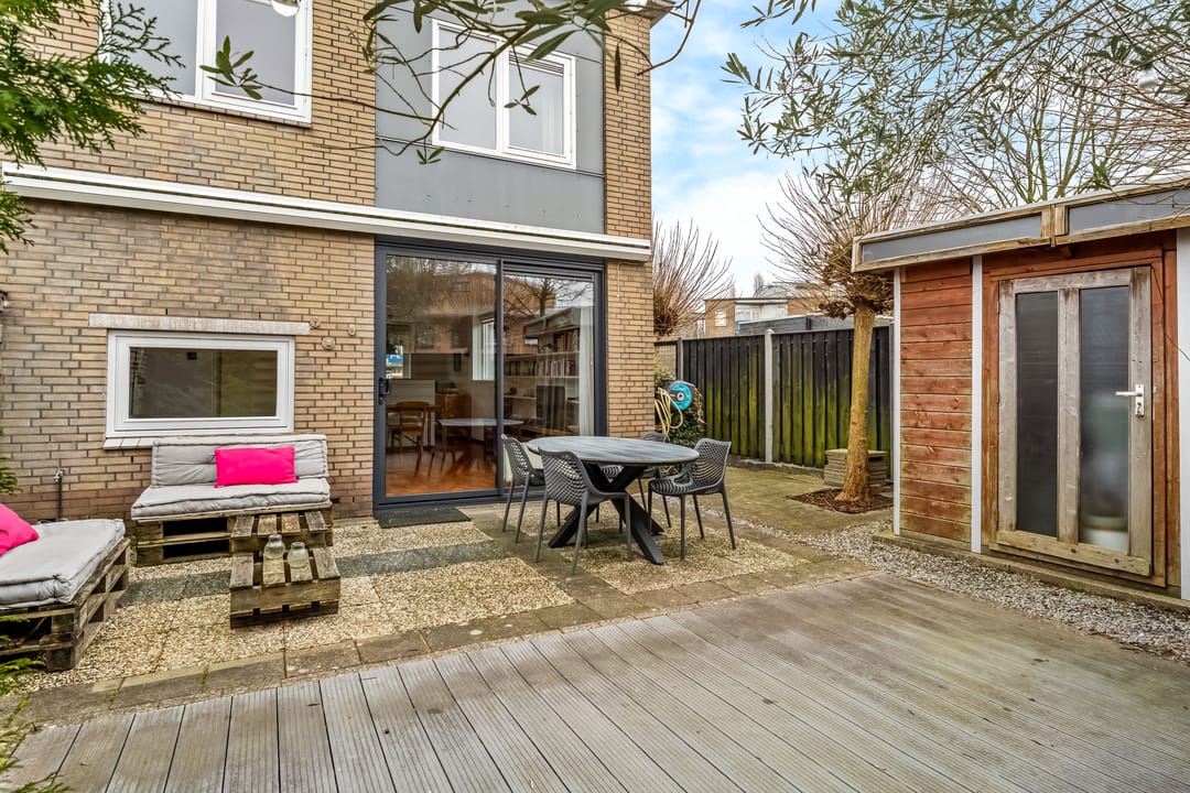 Photo 17 of Cantharel 1