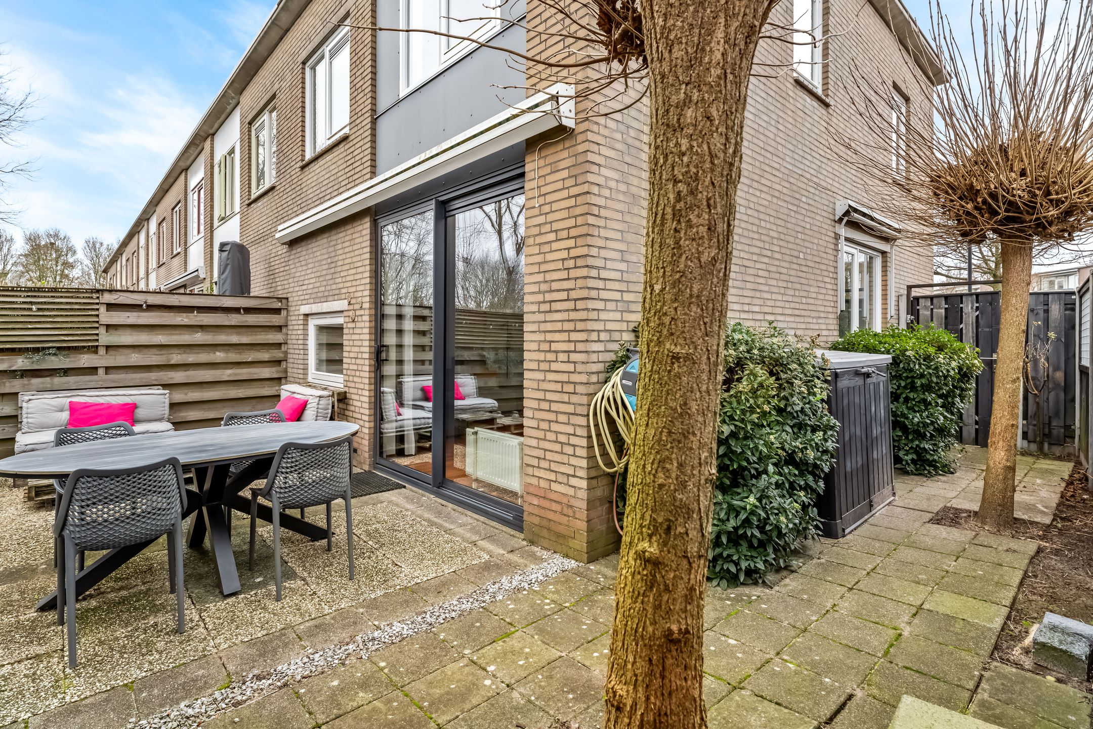 Photo 18 of Cantharel 1