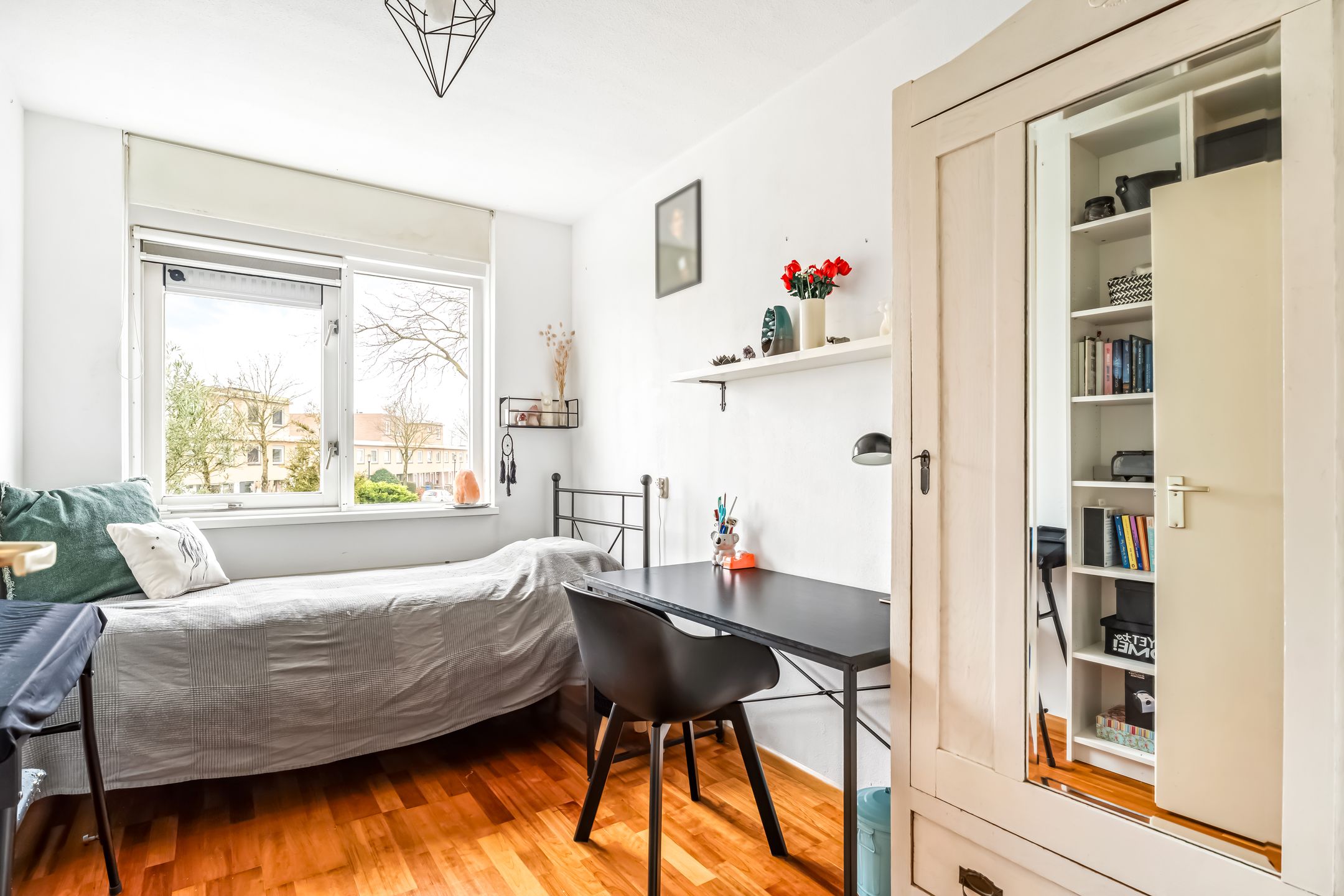 Photo 24 of Cantharel 1