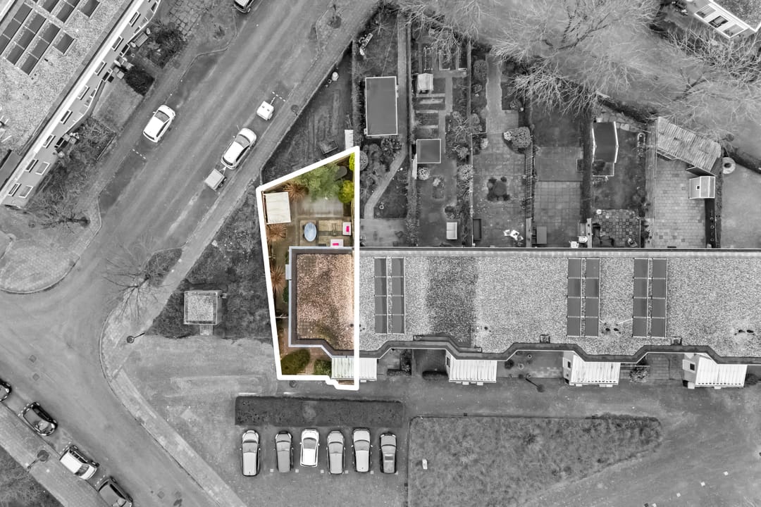 Photo 32 of Cantharel 1