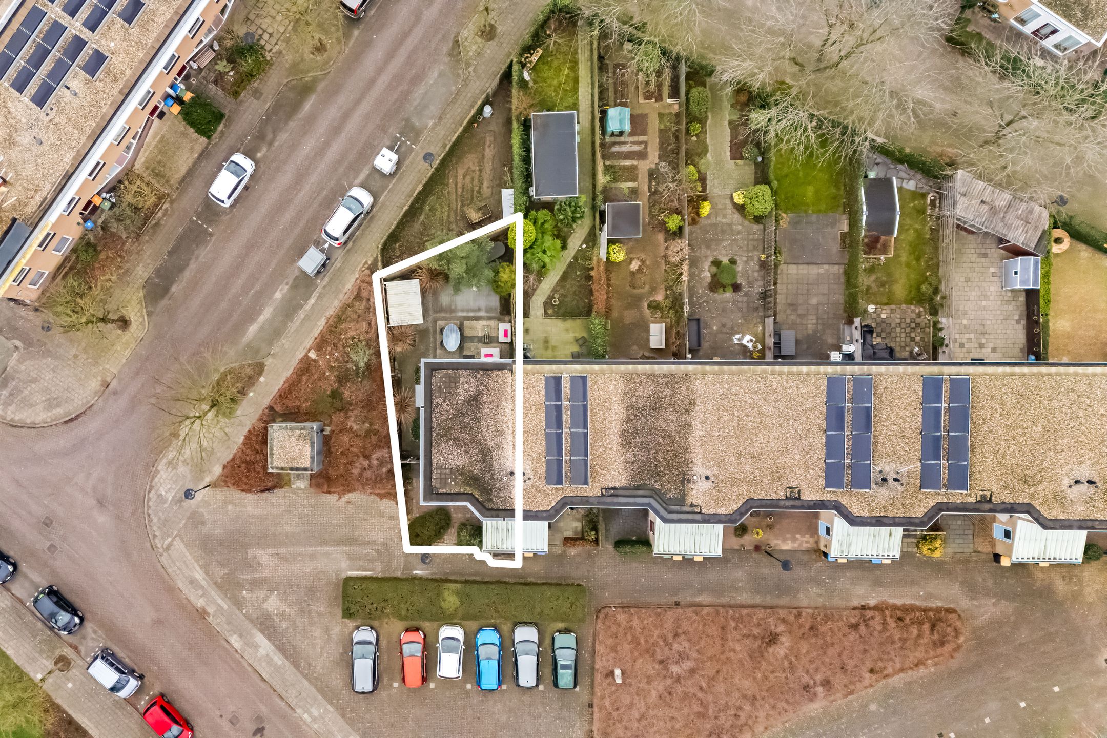 Photo 33 of Cantharel 1