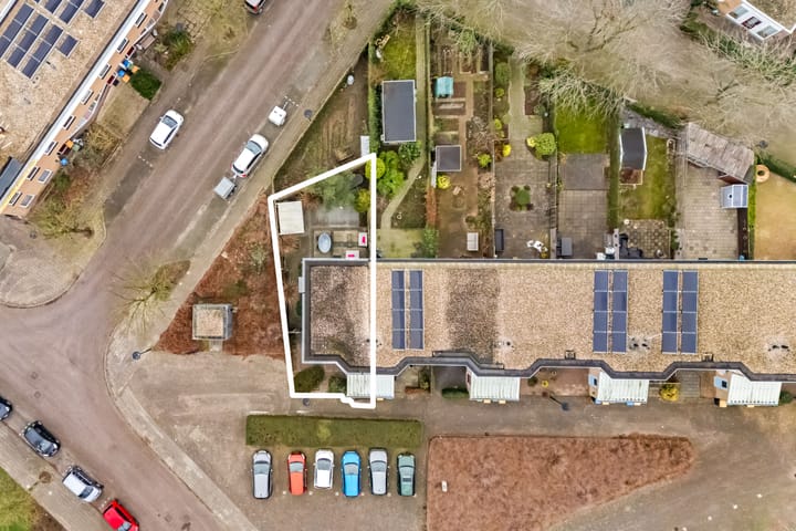 Foto 33 van Cantharel 1