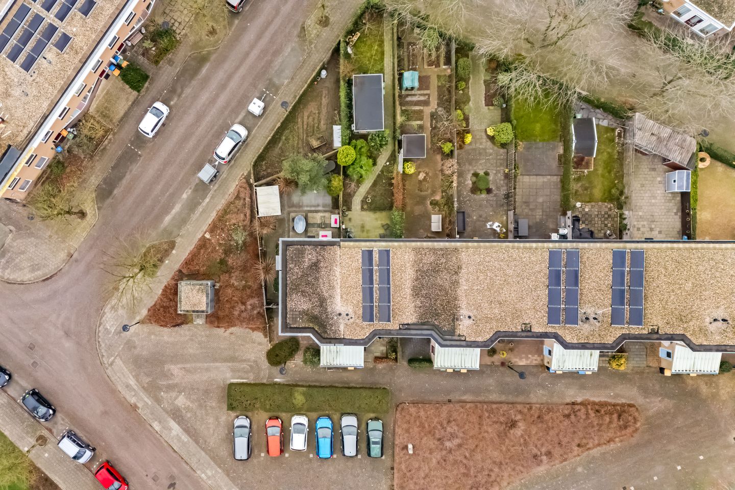 Photo 34 of Cantharel 1