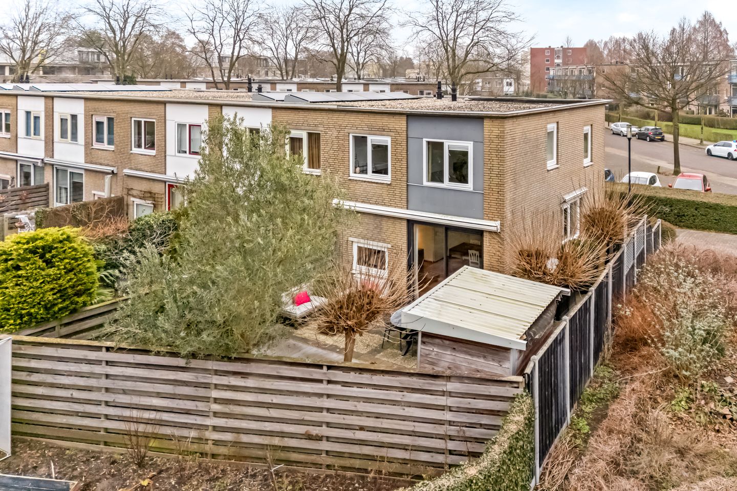 Photo 35 of Cantharel 1