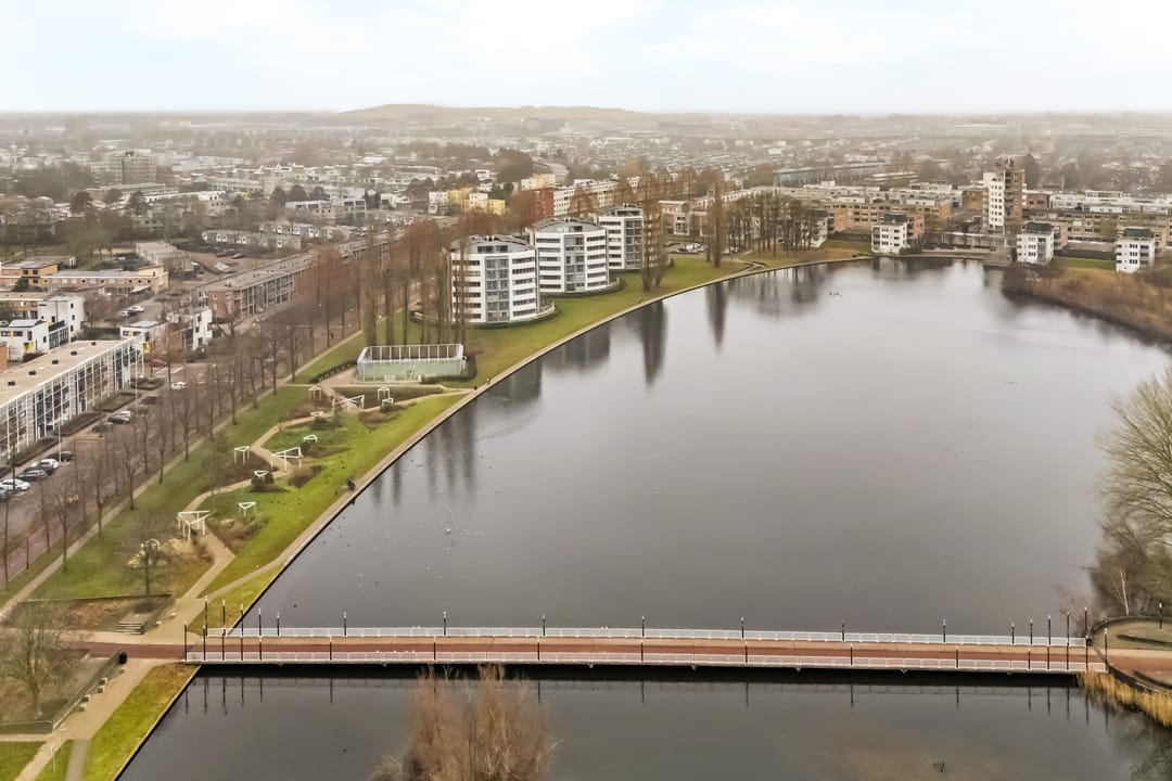 Photo 37 of Cantharel 1