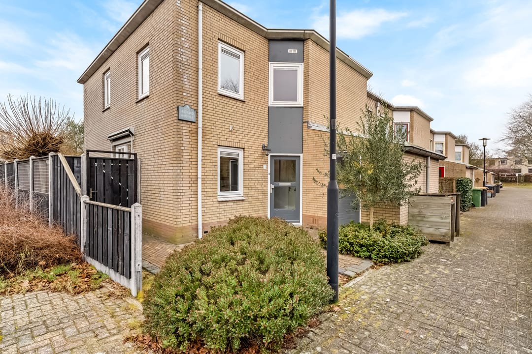 Photo 38 of Cantharel 1