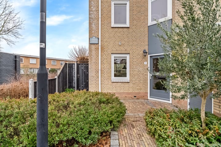 Foto 39 van Cantharel 1