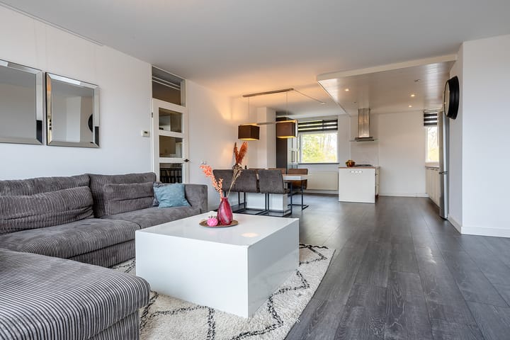 Foto 4 van Hollandsch Diep 251