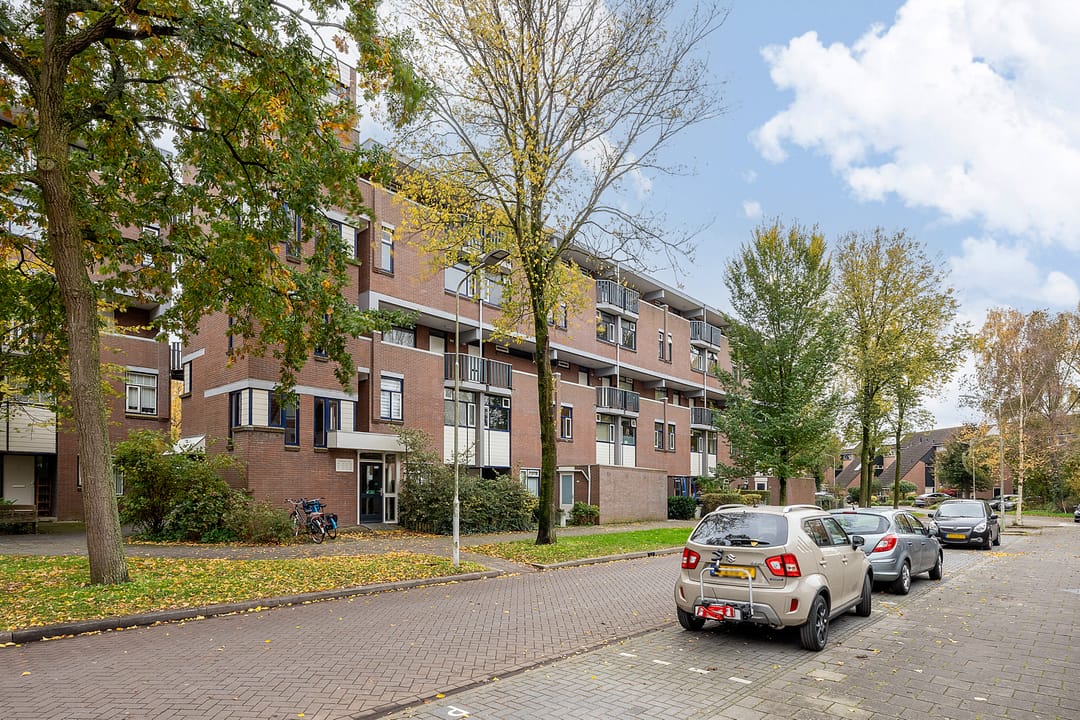 Photo 31 of Hollandsch Diep 251