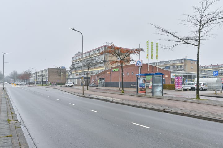 Photo 45 of Sperwerlaan 139