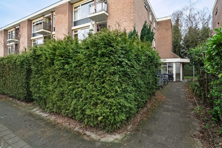 Foto 3 van Van 't Hoffstraat 15-I