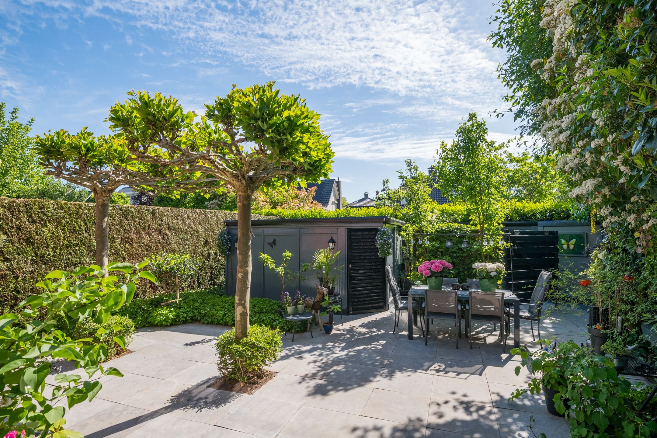 Photo 3 of Witte Paters 29