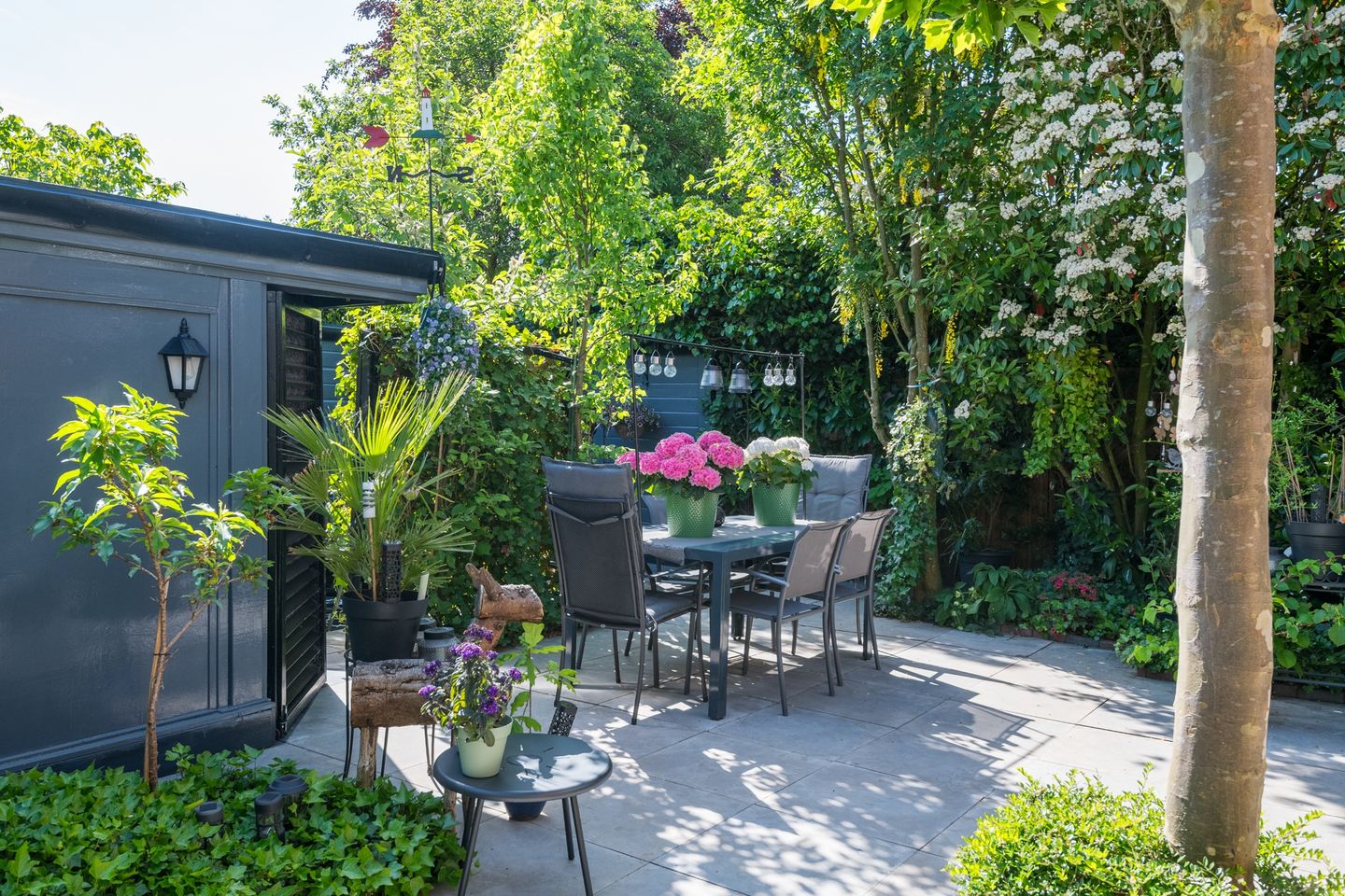 Photo 50 of Witte Paters 29