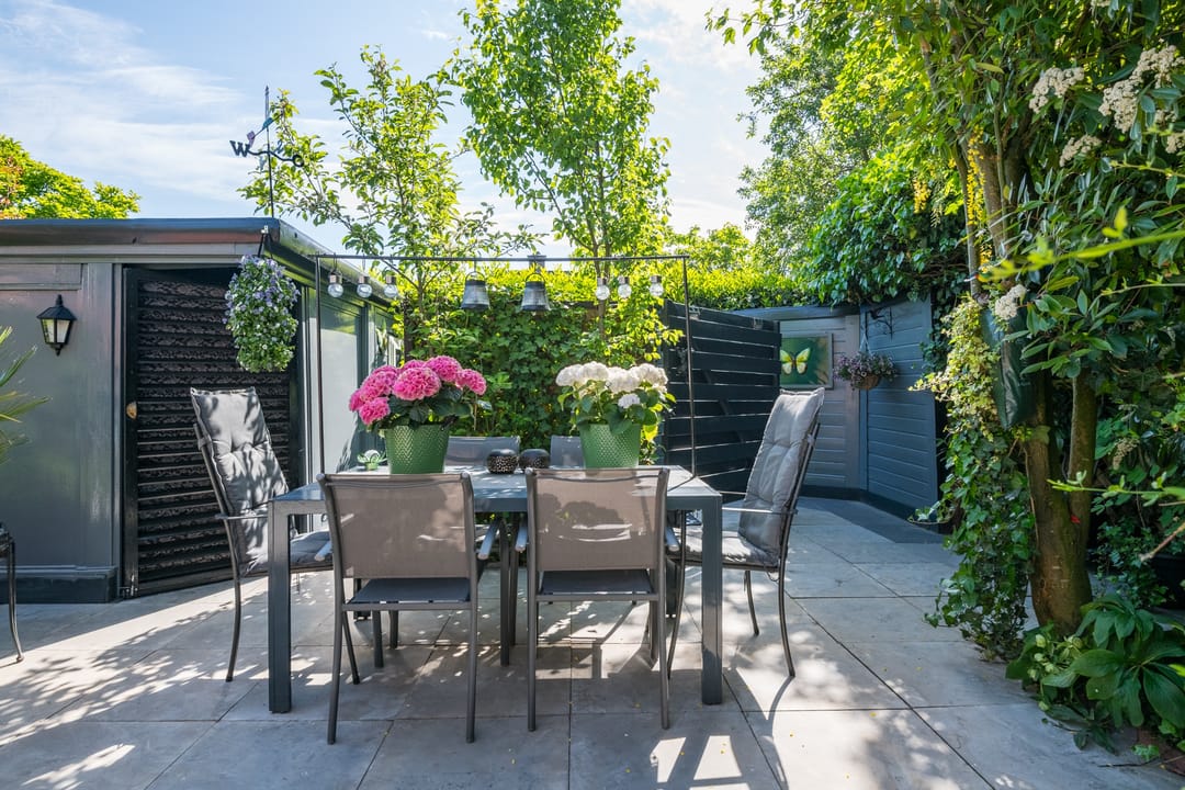 Photo 56 of Witte Paters 29