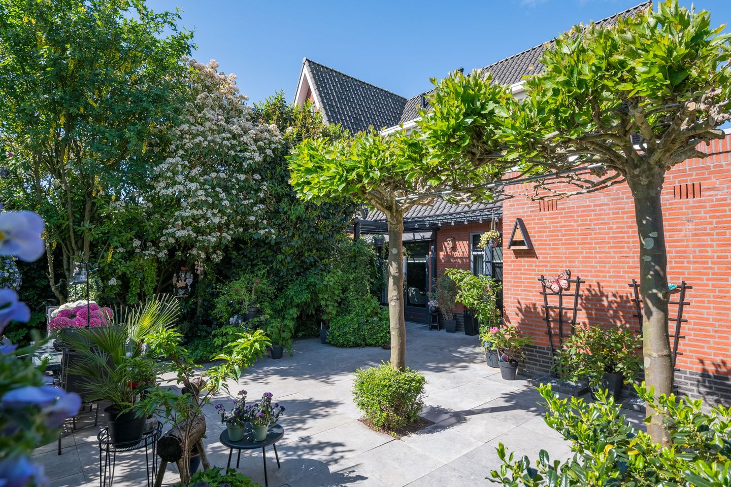 Photo 64 of Witte Paters 29