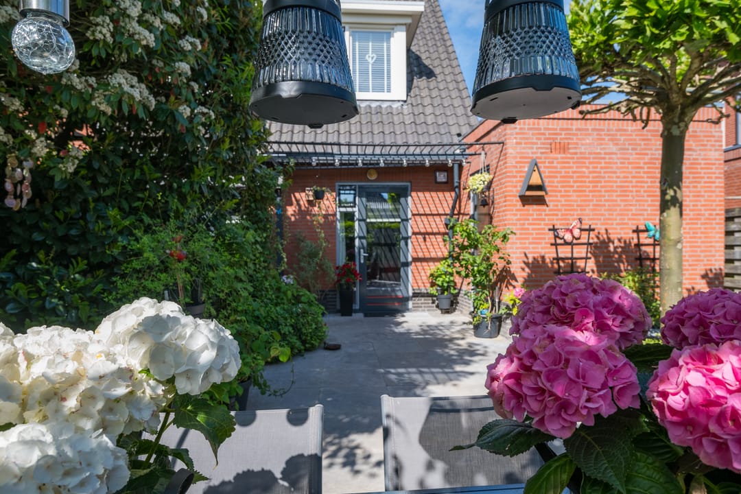 Photo 62 of Witte Paters 29