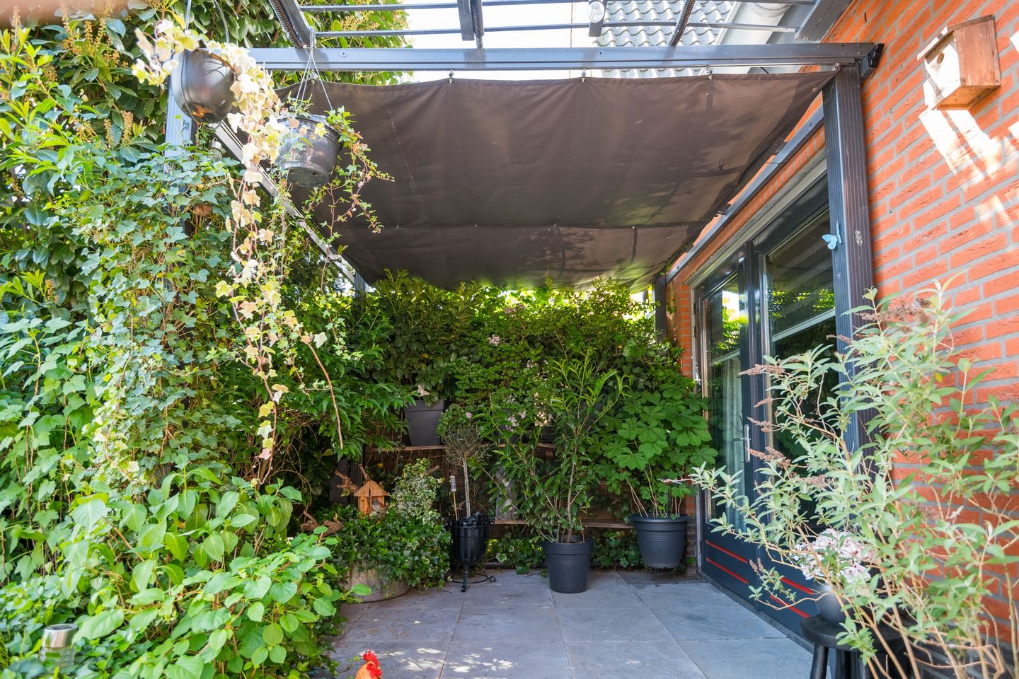 Photo 70 of Witte Paters 29