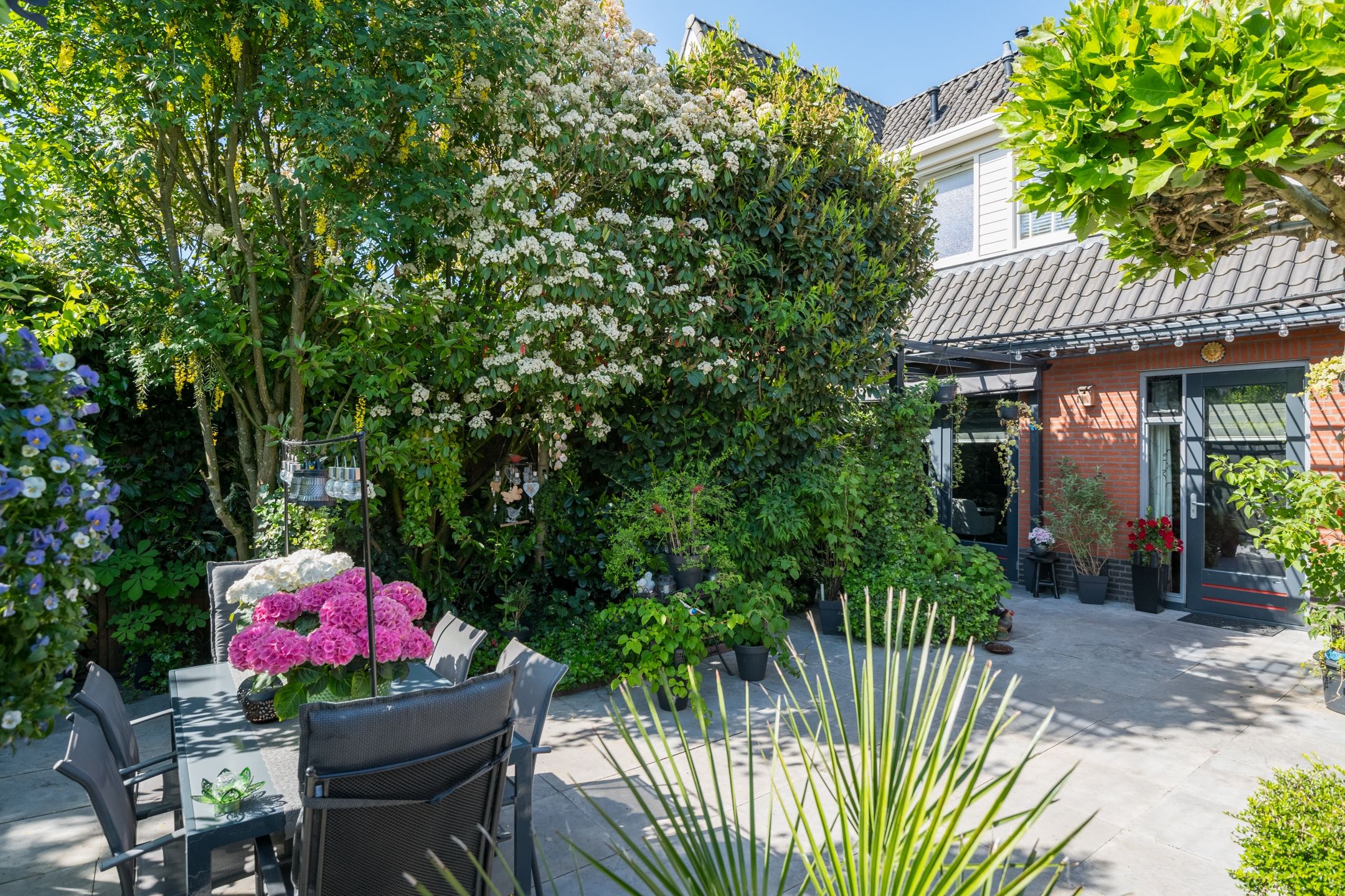 Photo 63 of Witte Paters 29