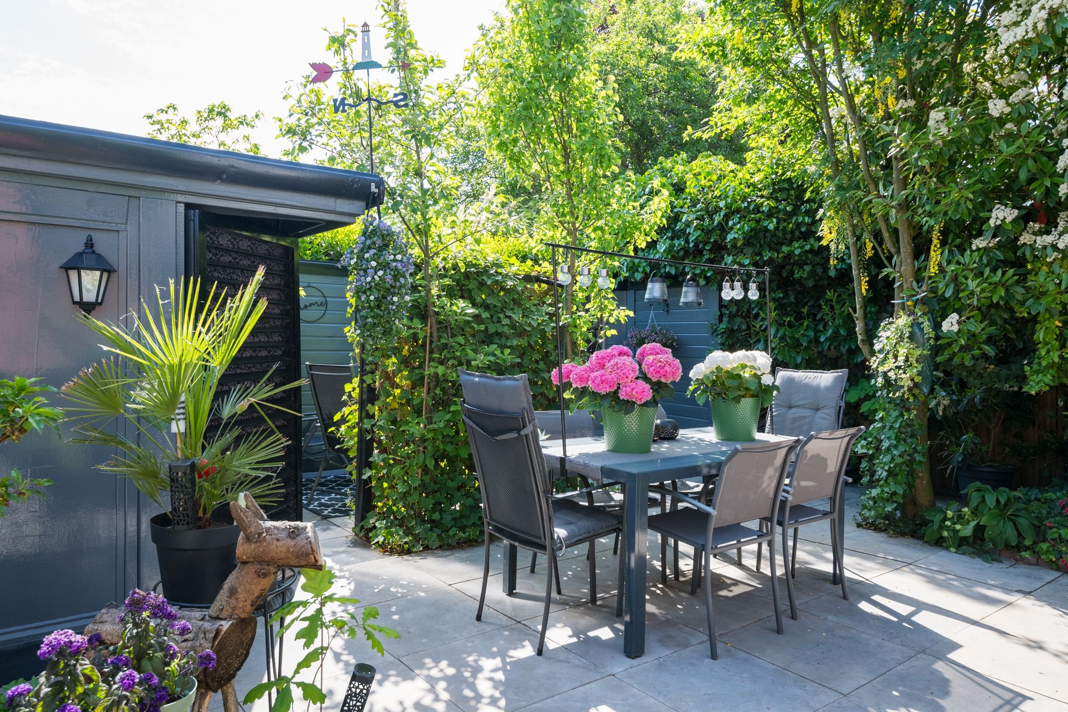 Photo 51 of Witte Paters 29