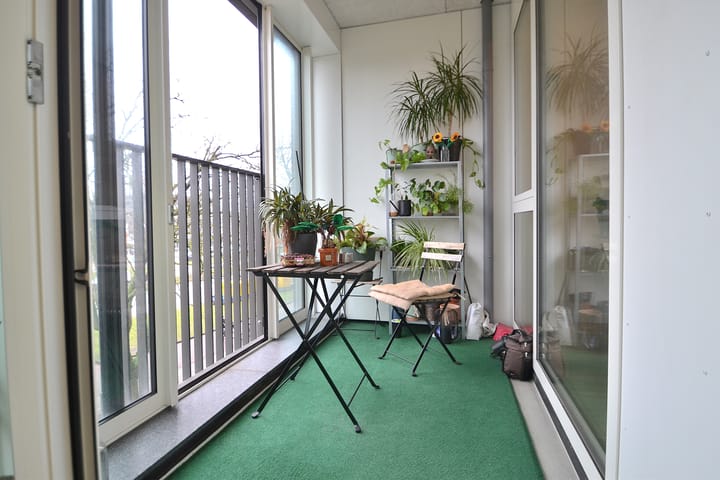 Photo 9 of Mangoweg 19