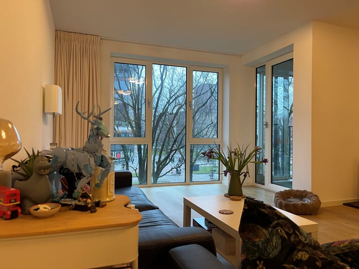 Photo 11 of Mangoweg 19