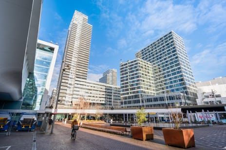 undefined main image