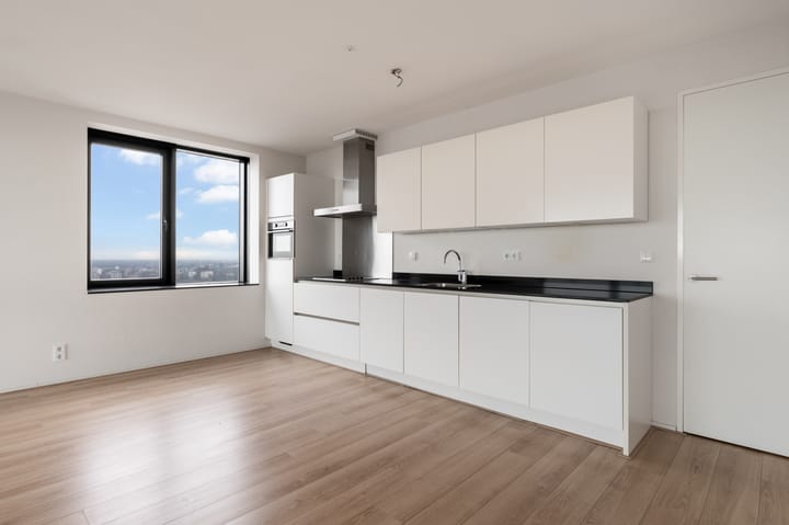 Photo 3 of Anna van Buerenplein 233