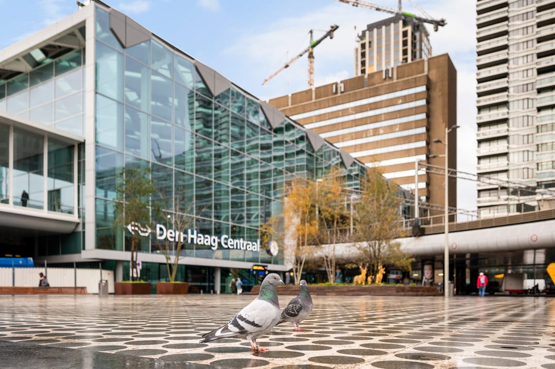 Photo 31 of Anna van Buerenplein 233