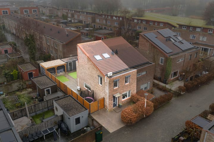 Akkerdistel 2 main image