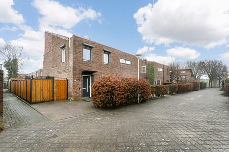 Akkerdistel 2 secondary image