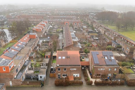 Akkerdistel 2 tertiary image